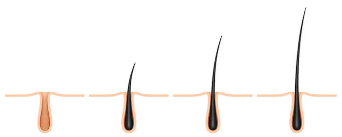 Hair Loss Results - How long.
